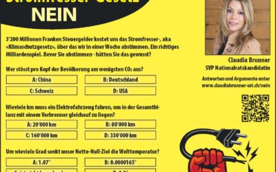 Schlechte Verlierer